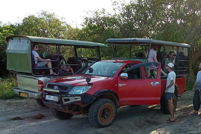 Day Excursion from Colomb to Yala Safari (Leopard Safari Tour) - Authentic Insights from Travelers