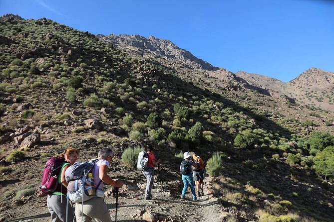 Day Excursion in the Atlas mountains - What Makes This Tour Stand Out?