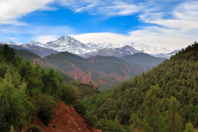 Day Excursion To Ourika Valley and High Atlas From Marrakech: Shared - Real Traveler Insights