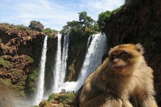 Day Excursion To Ouzoud Waterfall from Marrakech: Private - The Value of This Tour