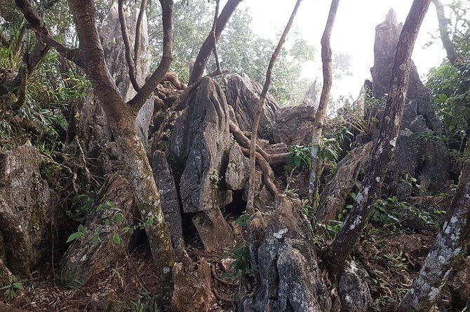 Day hike to Mount Daraitan with Tinipak River 2024 - The Itinerary: What to Expect on Your Day
