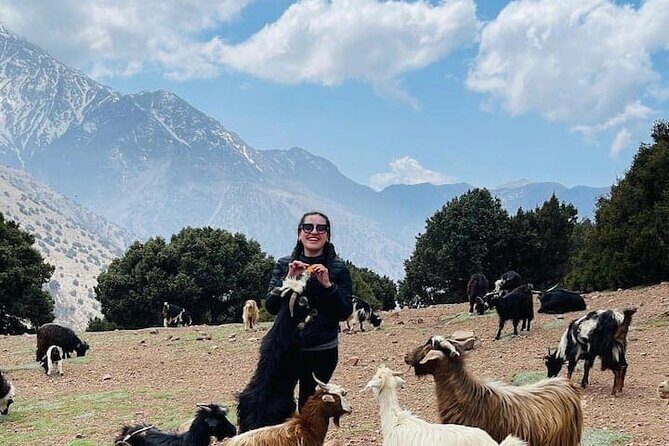 Day Hiking To Tawdja Summit in the Atlas Mountain - Who Will Love This Experience?