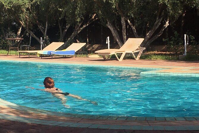 Day pool lunch and camel around Marrakech - Exploring the Marrakech Day Pool Lunch and Camel Tour