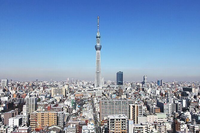 Day Private City Tour of Tokyo with English speaking driver - Who Would Love This Tour?