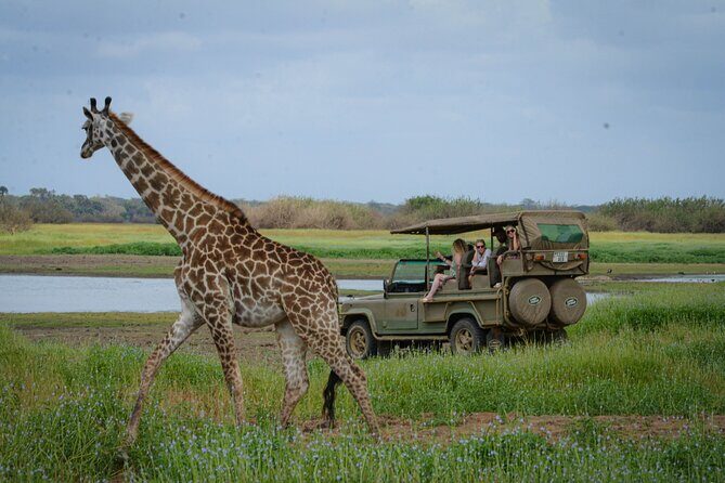Day Safari Tour Selous Game Reserve - Who Will Love This Tour?