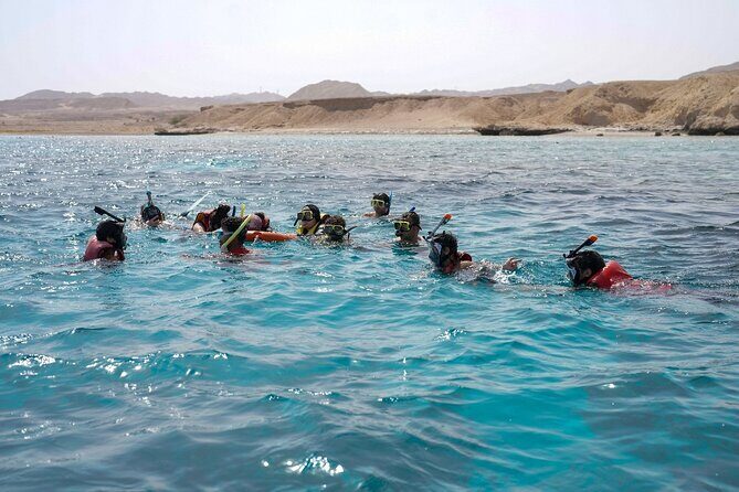 Day Sail to White Island and Ras Mohamed in Sharm El Sheikh - Visiting White Island