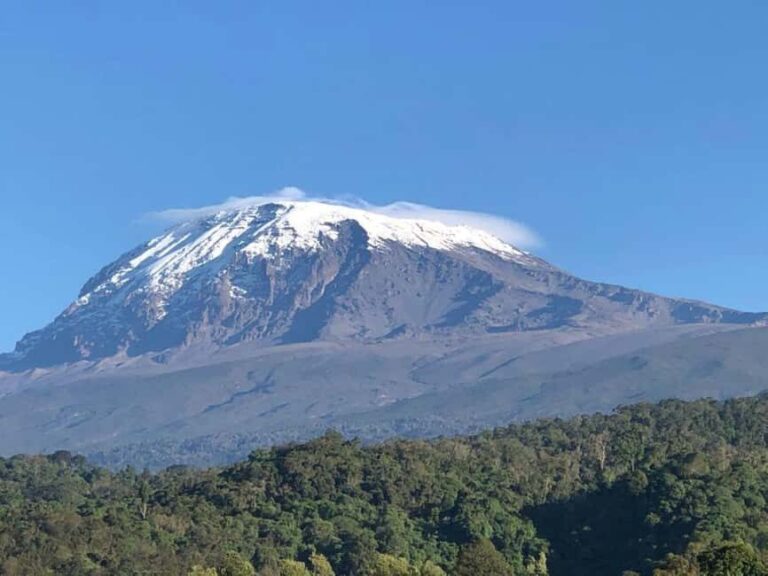Day Tour Around Moshi Tanzania - What Makes This Tour Stand Out