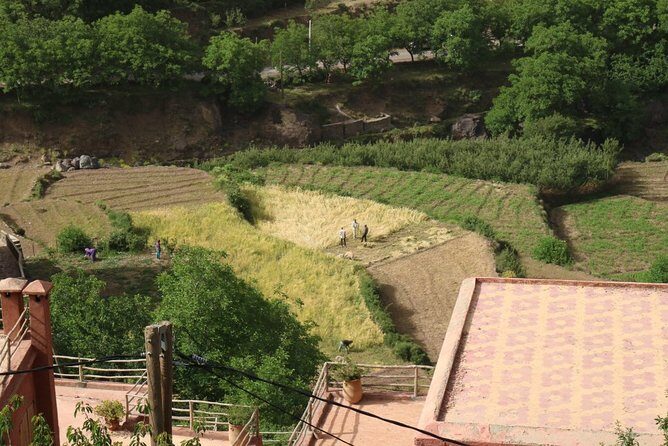 Day Tour from Marrakech to atlas mountains valleys, Camel Ride & Berber family - The Sum Up