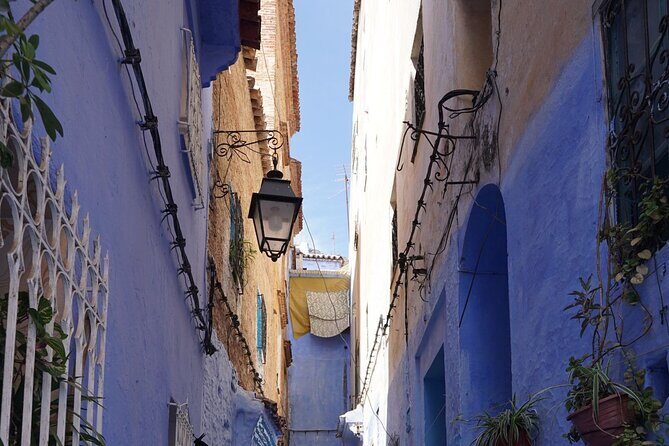 Day Tour in Blue City of Chefchaouen - The Itinerary in Detail