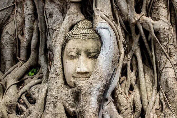 Day Tour of Ayutthaya and Bang Pa-In - Authentic Experiences That Shine