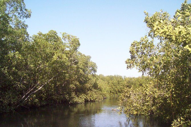 Day tour Somone lagoon and Bandia park Safari - The Itinerary: What to Expect at Each Stop