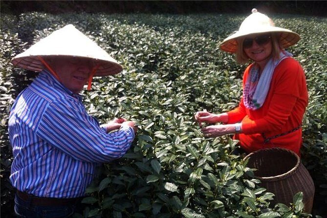 Day Tour to Discover the Secrets of Hangzhou's Tea Culture - FAQ