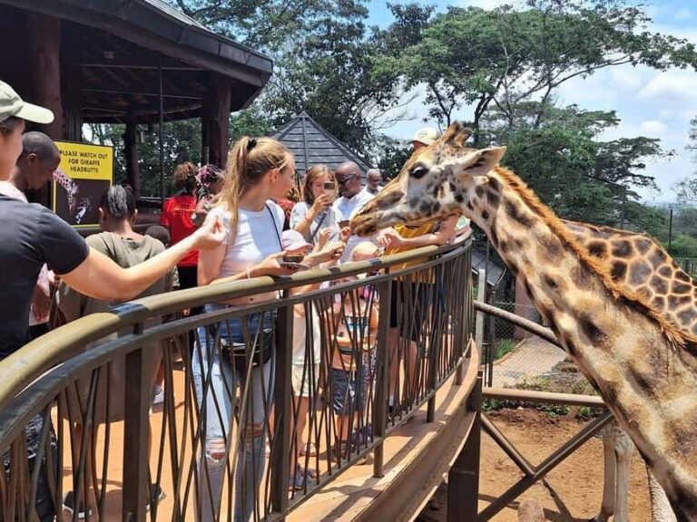 Day Tour to Giraffe Center and Karen Blixen Museum - What You Can Expect from This Tour