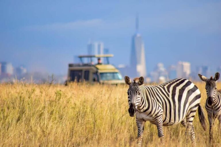 Day Tour To Giraffe Center, Baby Elephant And Nairobi Park - Authentic Encounters and Practical Tips