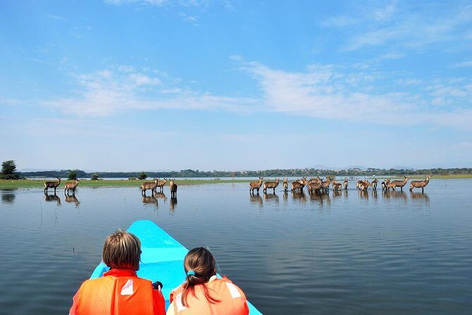 Day Tour To Lake Nakuru Park With Optional Boat Ride on Lake Naivasha - The Itinerary in Detail