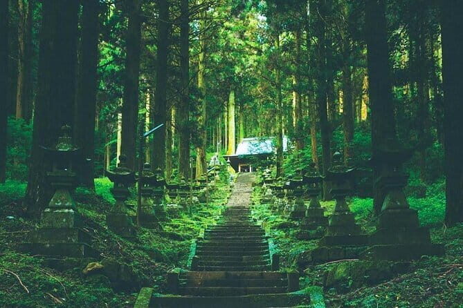 Day Tour to Miyazaki Takachiho Gorge & Shrine depart from Fukuoka - Cost and Value