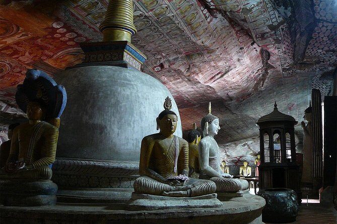 Day tour to Sigiriya & Dambulla from Kandy by Aaliya Tours - Who Should Consider This Tour?