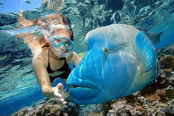 Day Tour to Snorkeling Trip to Giftun Island in Egypt - Authentic Marine Encounters