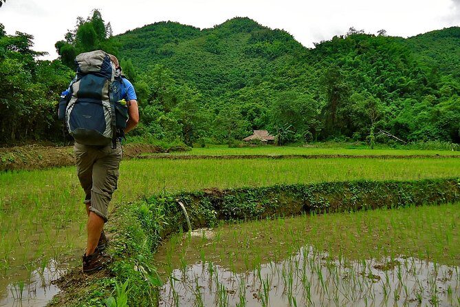 Day Trek to Kuangsi Waterfall and Bear Sanctuary - Luang Prabang full day tour - Discovering Luang Prabang’s Natural Wonders