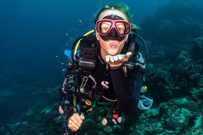 Day Trip certified divers - 3 Dives in Tulamben (pick-up & drop-off included) - The Detailed Itinerary and What to Expect