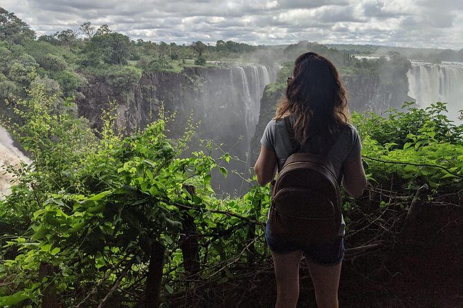 Day Trip: Discover Victoria Falls Zimbabwe From Livingstone, Zambia - Price and Value: Is It Worth It?