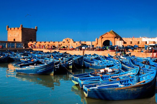 Day Trip Essaouira from Marrakech - Considerations Based on Feedback and Experience