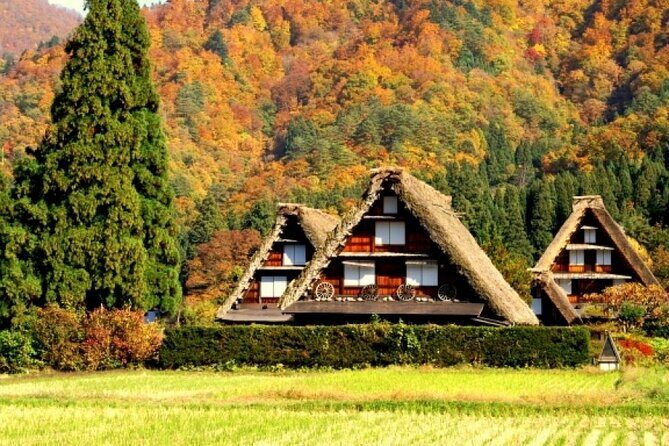 Day Trip for Shirakawago ,Takayama & gujo hachiman from Nagoya - Who Will Enjoy This Tour?