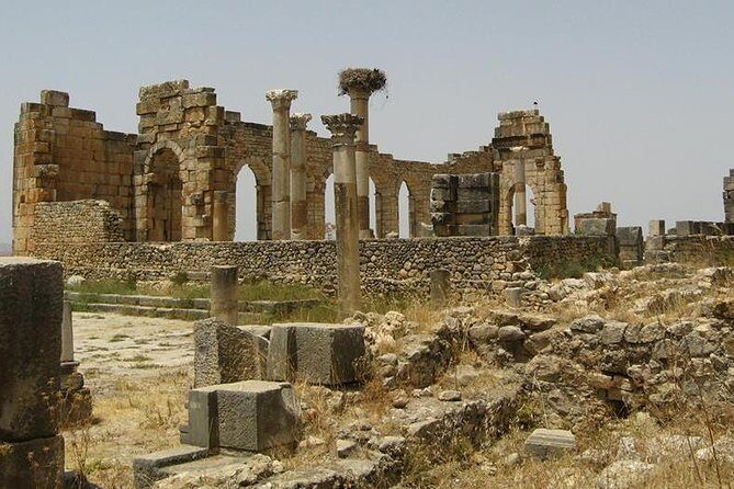 Day trip from Fes to Volubilis Moulay Idriss & Meknes - Who Will Love This Tour