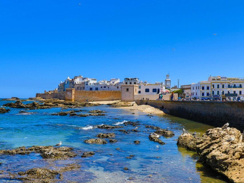 Day Trip From Marrakech to Essaouira All Included - Is It Worth the Price? Analyzing the Value