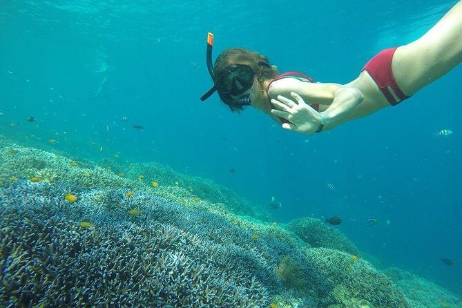 Day Trip Gili Trawangan, Gili Meno, Gili Air (Depart Lombok) - Itinerary Breakdown