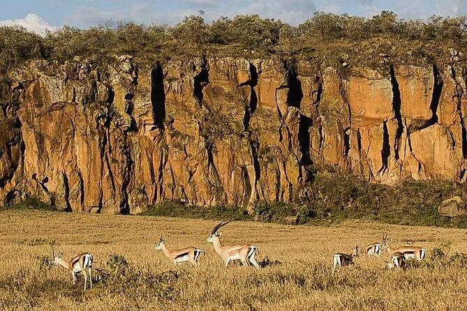 Day trip Hells gate Lake Naivasha best private safari - The Itinerary in Detail