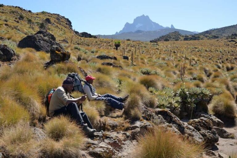 Day Trip Hiking Adventure to Mt. Kenya National Park - The Glacial Peaks and Panoramic Views
