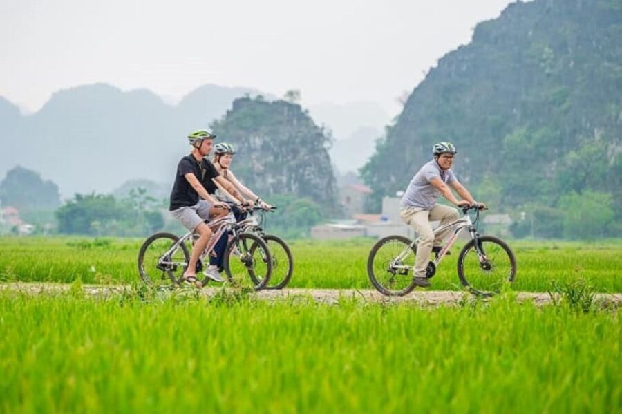 Day Trip-Hoa Lu-Trang An-Mua Cave-Lunch-Transfer - The Full Experience: What You Can Expect