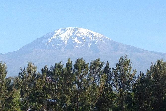 Day Trip Kilimanjaro Shira Plateau from Moshi - Key Points