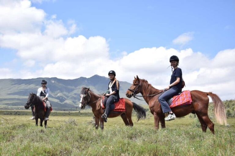Day Trip: Mount Longonot Hike and Lake Naivasha Boat Ride - Practical Tips for a Smooth Trip