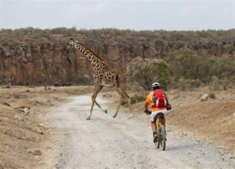 Day Trip Naivasha Hell's Gate Park, Horse Riding Sanctuary - What’s Included and What’s Not