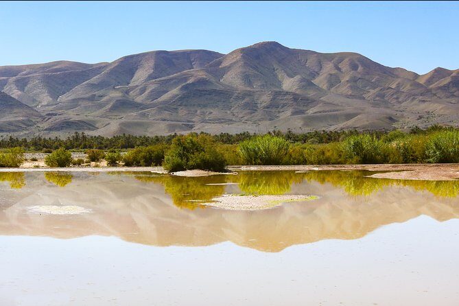 Day trip Ouarzazate Zagora - Why This Tour Stands Out