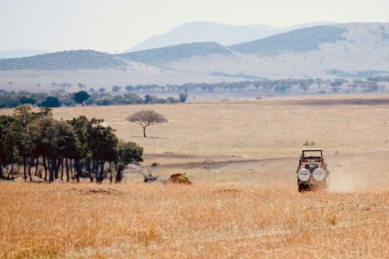 Day trip safari to Ngorongoro Crater - The Value of All-Inclusive Pricing