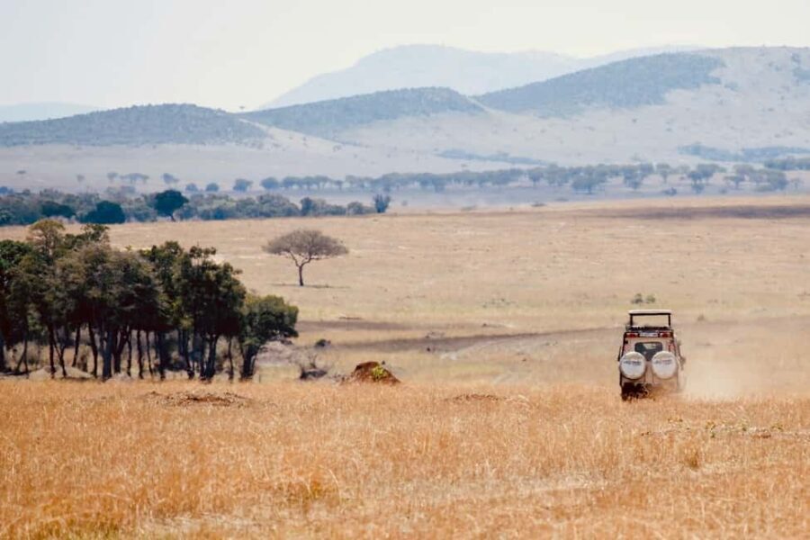 Day trip safari to Ngorongoro Crater - The Value of All-Inclusive Pricing
