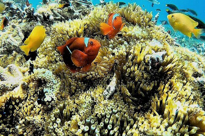 Day Trip Secret Island West Of Lombok - The Practicalities