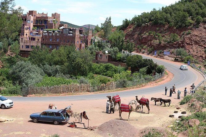 Day trip to Atlas Mountains Ourika Valley and Berber Villages - Return to Marrakech
