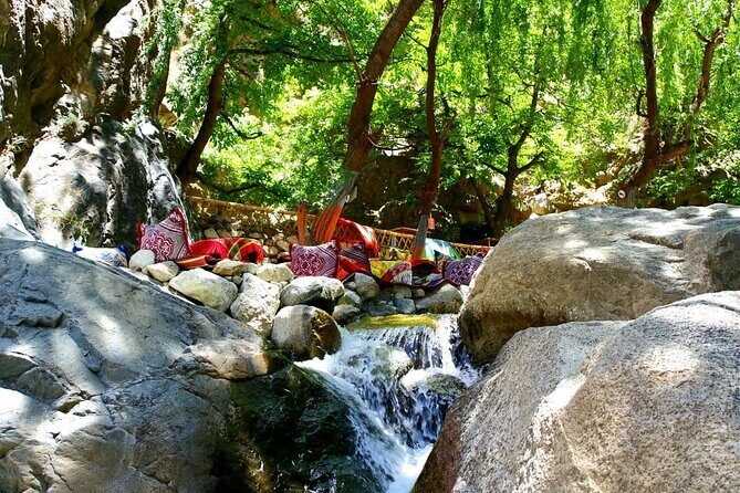 Day trip to Atlas Mountains ourika valley Berber villages - What Travelers Are Saying