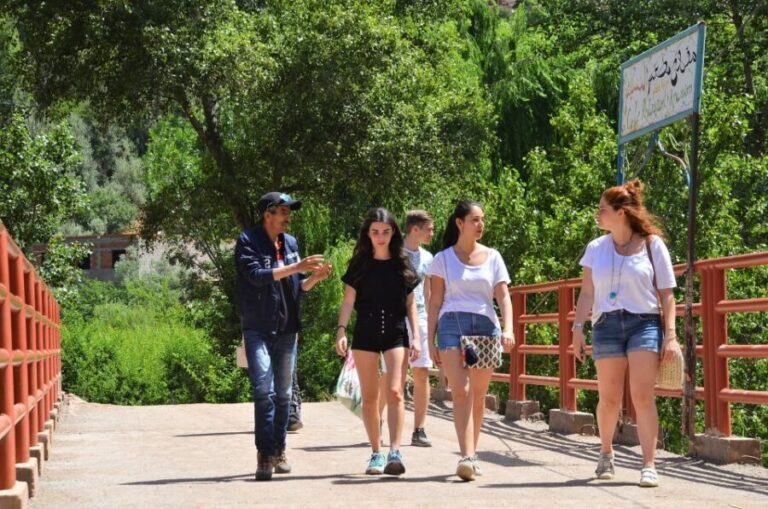 Day Trip To Atlas Mountains & Setti Fatma from Marrakech - Setti Fatma and Its Enchanting Waterfalls