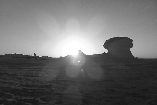 Day Trip To BaharIya Oasis Visit Black & White Desert From Cairo - Who Will Love This Tour?
