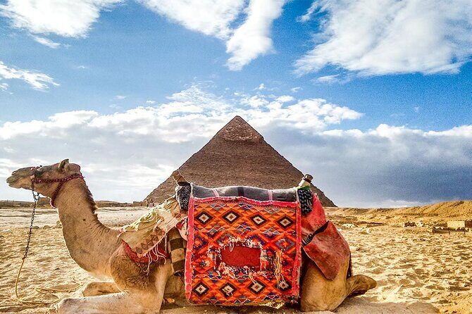 Day Trip to Cairo from Hurghada by Bus with Lunch & Guide - Final Thoughts