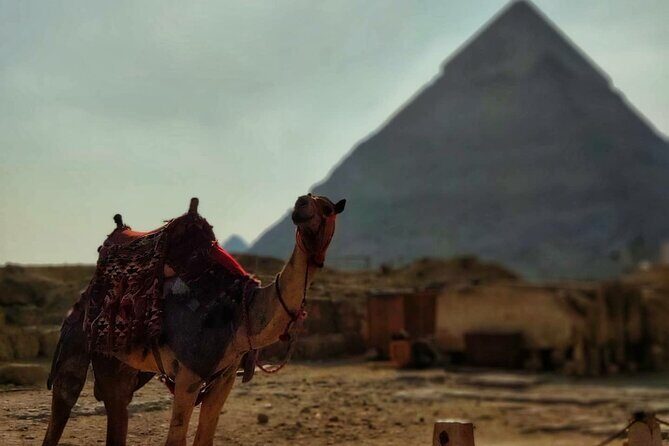 Day Trip to Cairo From Sharm El-Sheikh by Bus - Who Will Love This Tour?