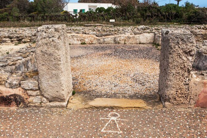 Day Trip to Cap Bon - Authentic Experiences That Stand Out