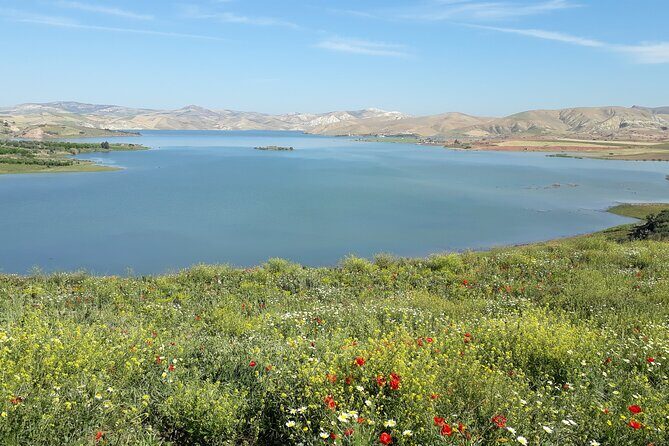 Day Trip to Chefchaouen from Fes Private /Small Group - What Travelers Say