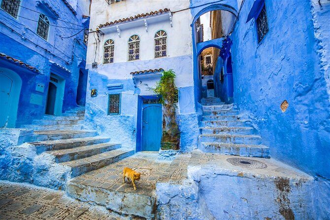 DAY TRIP to Chefchaouen From FEZ - What’s Included and What’s Not
