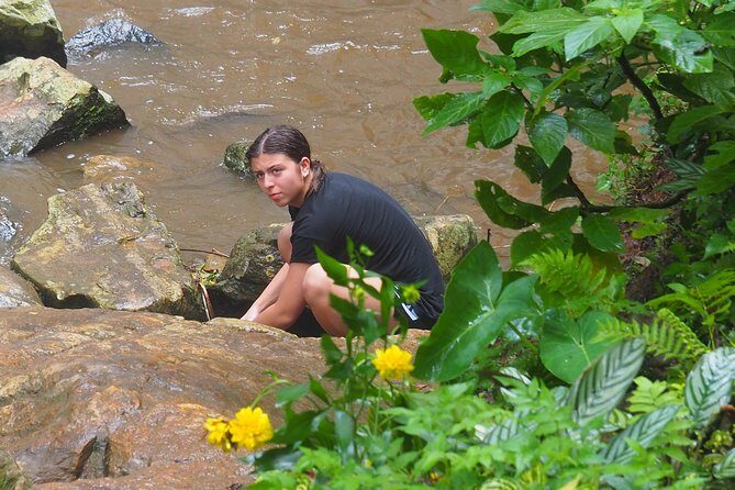 Day trip to Choma waterfalls - What Travelers Are Saying